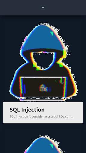 Learn Ethical Hacking Course Offline screenshot 7