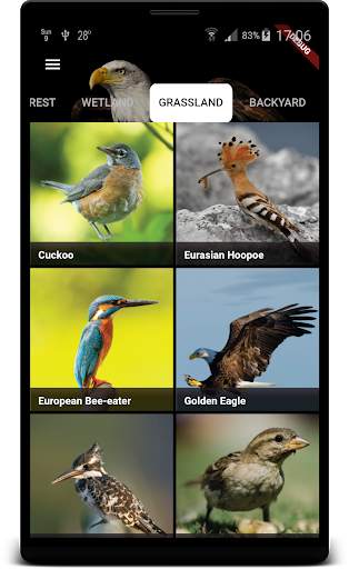 Bird Sounds स्क्रीनशॉट 7