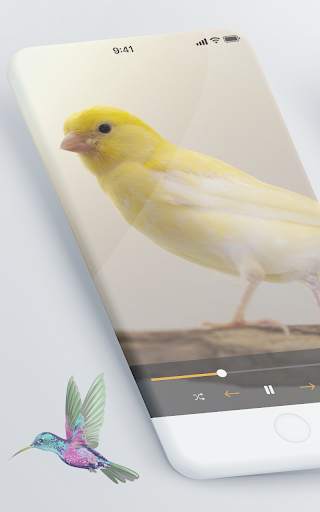 Suara pikat burung kecil lengkap screenshot 1