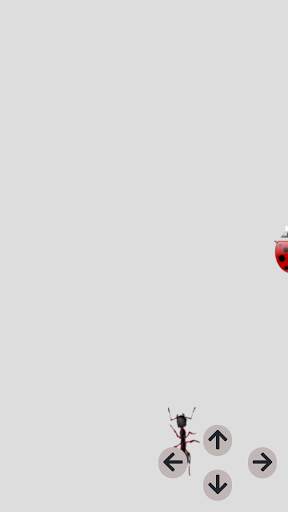 Ants race screenshot 3