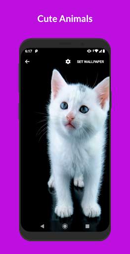 VideoHub - Video Live Wallpapers screenshot 3