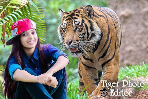 Tiger photo frames 1 تصوير الشاشة