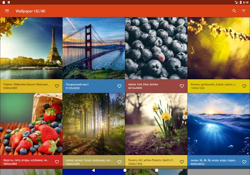 Обои HD - Splash Wallpapers (заставки и фоны) screenshot 8