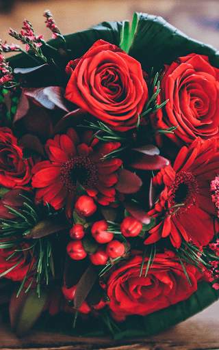 Red Rose Wallpaper screenshot 16