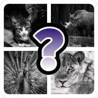 Picture Guessing-Quiz Game logo