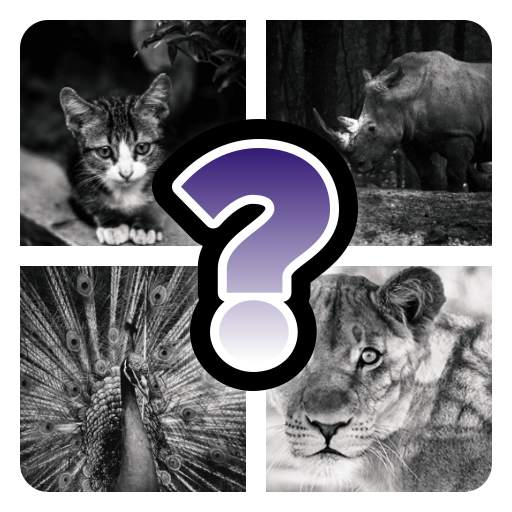 Picture Guessing-Quiz Game 8.5.4z