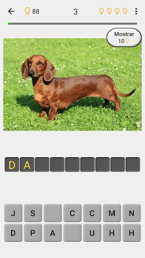 Perros - Quiz acerca de todas las razas populares screenshot 2