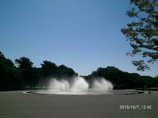 DateCamera(Auto timestamp) screenshot 8