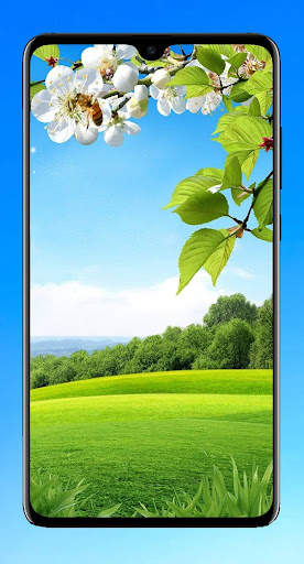 Beautiful Wallpaper screenshot 4
