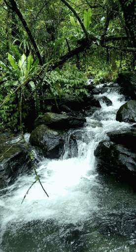 Waterfall Video Live Wallpaper screenshot 4