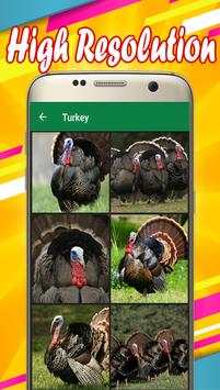 Turkey Wallpapers 2 تصوير الشاشة