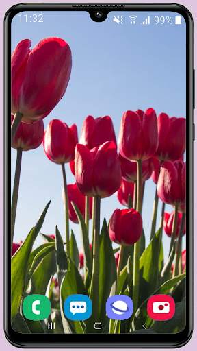 Tulips Wallpaper Best HD screenshot 9