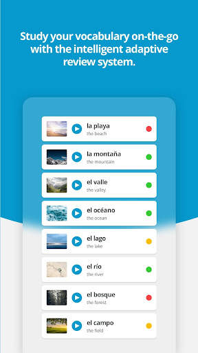 Verbling - Learn Languages wit screenshot 4