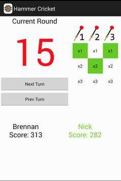 Hammer Cricket Scorecard screenshot 3