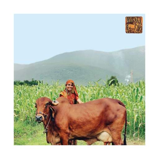 Dairy Husbandry Practices 1.0.2