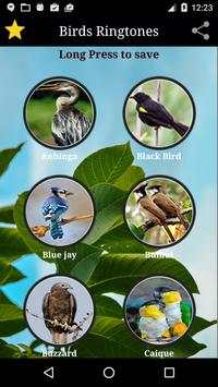 Birds Sounds screenshot 5