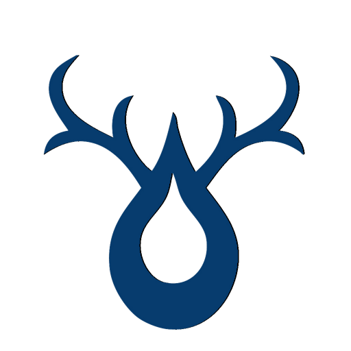 Boly Camera icon