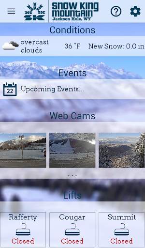 Snow King screenshot 1