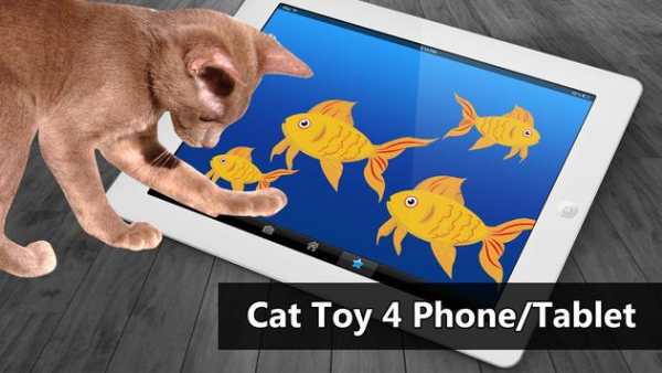 Cat Toys - Goldfish Cat Games screenshot 1