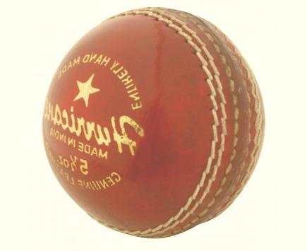 Play Cricket screenshot 4