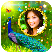 Peacock Photo Frames HD icon