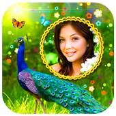 Peacock Photo Frames HD 1.0.11.1.45