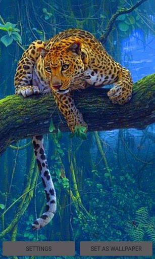 Jungle Leopard Live Wallpaper screenshot 3