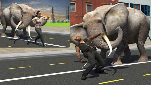 Elephant Racing Simulator 2016 screenshot 12