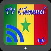 TV Senegal Info Channel logo