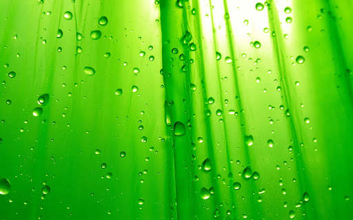 Green Wallpapers | hd backgrounds screenshot 17
