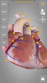 Heart 3D Anatomy Lite screenshot 5