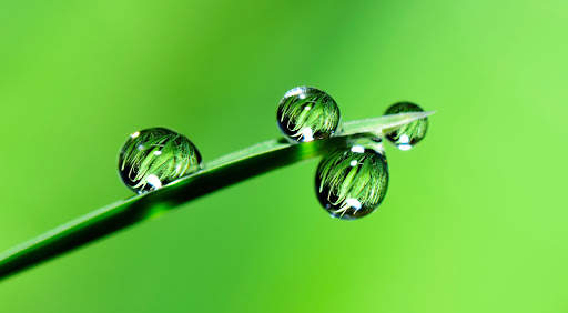 Green Wallpapers | hd backgrounds screenshot 22
