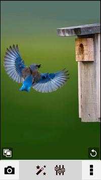 Fast Photo Editor screenshot 1