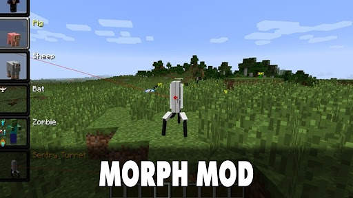 Morph Mod for Minecraft screenshot 4
