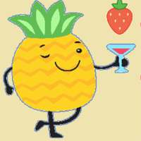 Fruit Juicer