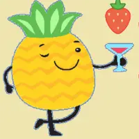 Fruit Juicer