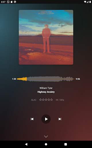 Plexamp screenshot 11