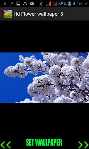 Hd Flower Wallpaper screenshot 5