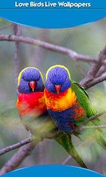Love Birds Live Wallpapers screenshot 1