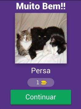 Foto Quiz em Português screenshot 16