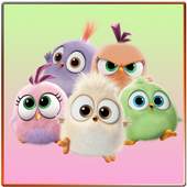 Angry Birds Live Wallpaper 1.0