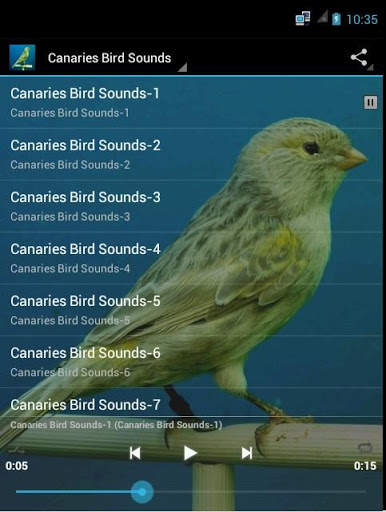 Canaries Bird Sounds स्क्रीनशॉट 1