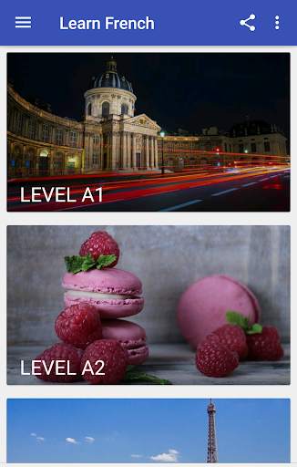 Learn French Grammar Exercises Free screenshot 1