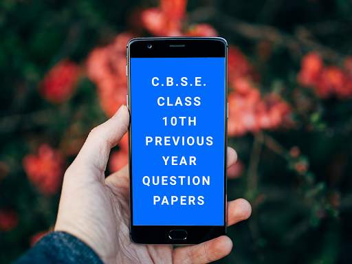 CBSE Class 10 Previous Year Question Papers скриншот 1
