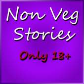 Non Veg Stories icon