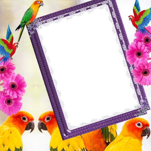 Parrot Insta DP screenshot 4