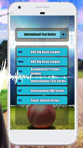 Snickometer : Cricket Prediction Tool screenshot 2