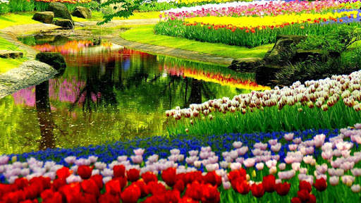 Spring Flower Live Wallpaper screenshot 4