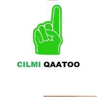 Cilmi qaatoo money exchange