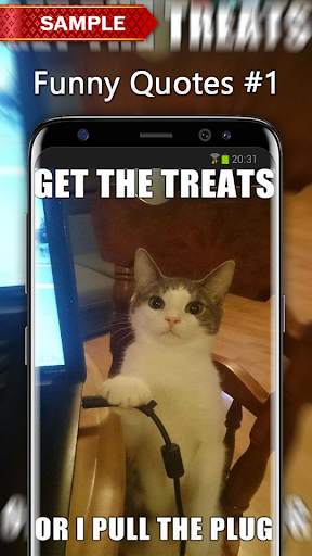 Funny Quotes Wallpapers screenshot 2